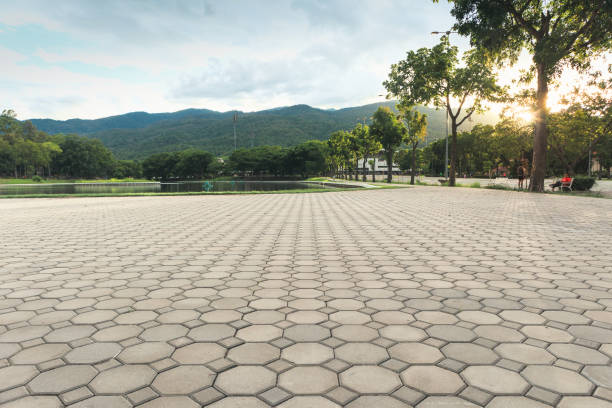 Residential Paver Driveway in Snohomish, WA